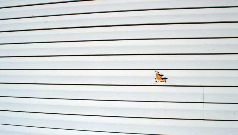 Inspecting Log Siding for Damage